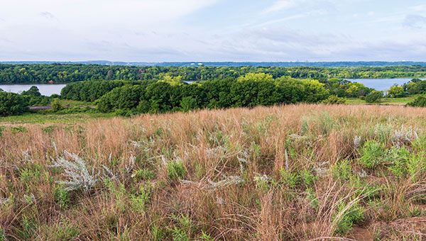 dunes-mooers-lake dunes-mooers-lake